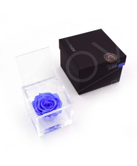 Rosa stabilizzata flowercube rosa azzurro 8x8cm Ars Nova