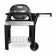 Barbecue elettrico Weber PULSE 2000 nero con stand 85010053